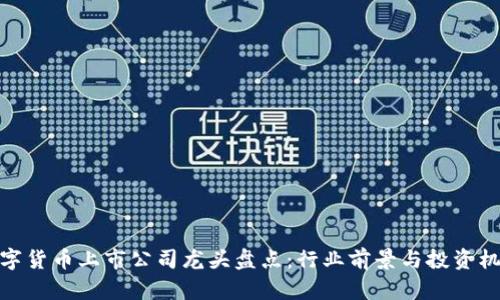 数字货币上市公司龙头盘点：行业前景与投资机会