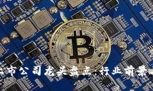 数字货币上市公司龙头盘点：行业前景与投资机会