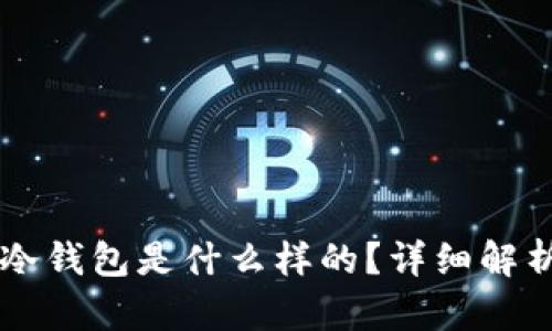 马来西亚的冷钱包是什么样的？详细解析与使用指南