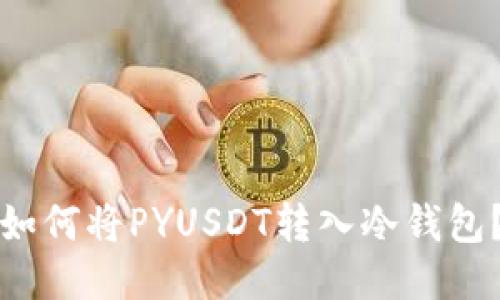如何将PYUSDT转入冷钱包？