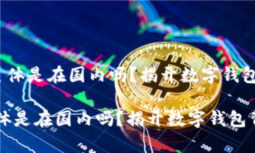 《t p钱包的主体是在国内吗？揭开数字钱包背后的真相》

t p钱包的主体是在国内吗？揭开数字钱包背后的真相