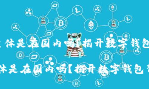 《t p钱包的主体是在国内吗？揭开数字钱包背后的真相》

t p钱包的主体是在国内吗？揭开数字钱包背后的真相