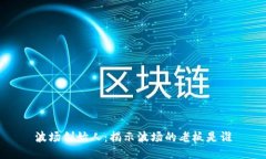 波场创始人：揭示波场的