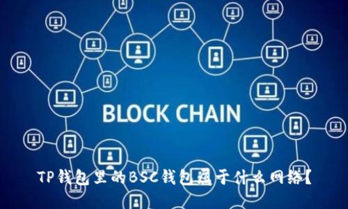 TP钱包里的BSC钱包属于什么网络？