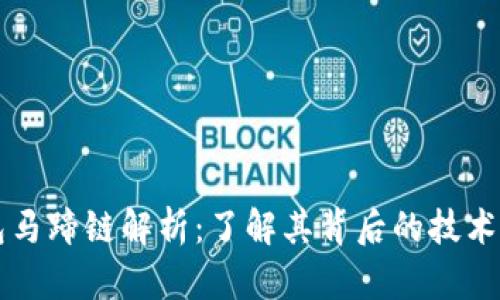 TP钱包马蹄链解析：了解其背后的技术与应用