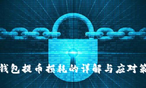 冷钱包提币损耗的详解与应对策略