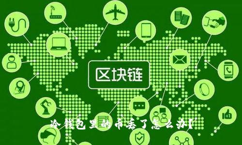 冷钱包里的币丢了怎么办？