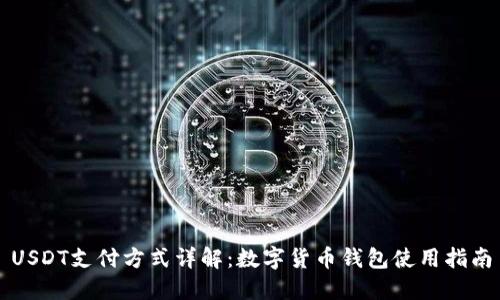 USDT支付方式详解：数字货币钱包使用指南