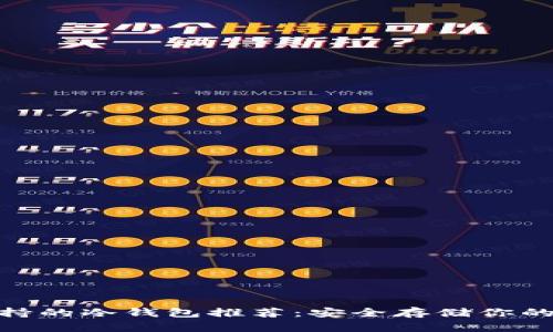 TRC20支持的冷钱包推荐：安全存储你的数字资产