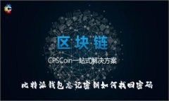  比特派钱包忘记密钥如何