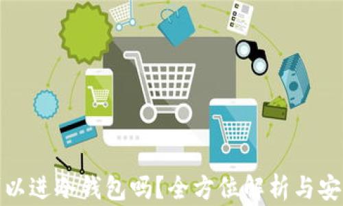 
屎币可以进冷钱包吗？全方位解析与安全措施