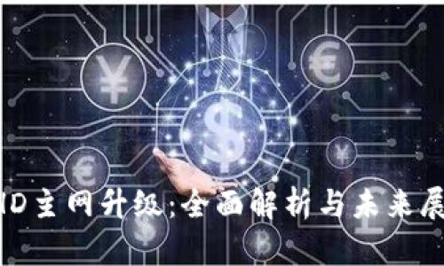 BHD主网升级：全面解析与未来展望