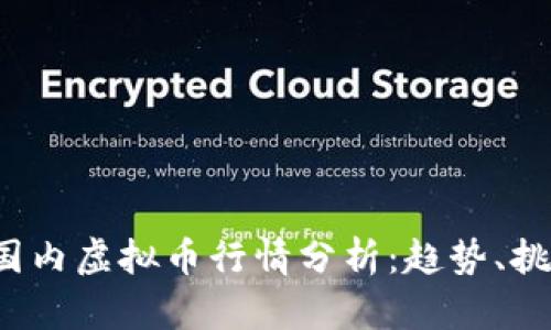 2023年国内虚拟币行情分析：趋势、挑战与未来