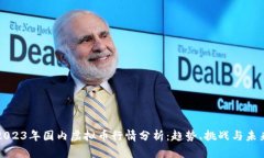 2023年国内虚拟币行情分析