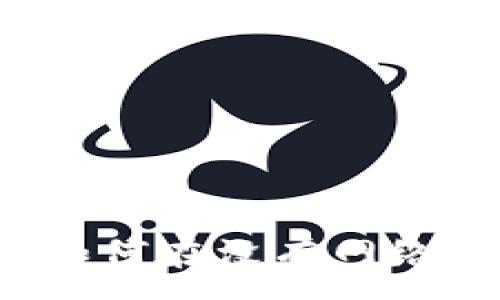 :
冷钱包提现详解：如何在没有网络的情况下安全提币