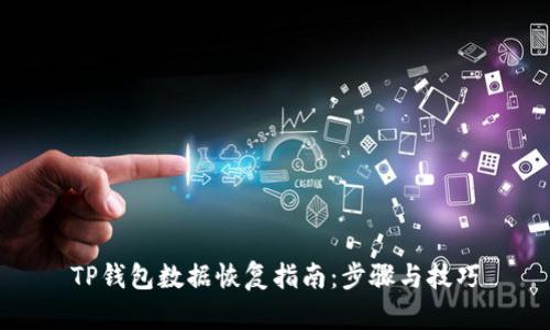 TP钱包数据恢复指南：步骤与技巧