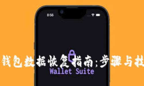 TP钱包数据恢复指南：步骤与技巧