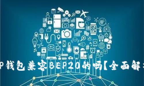 TP钱包兼容BEP20的吗？全面解析