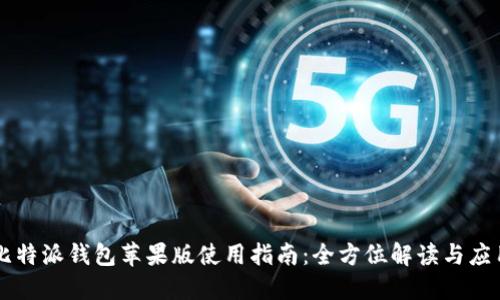 比特派钱包苹果版使用指南：全方位解读与应用