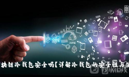 bibot区块链冷钱包安全吗？详解冷钱包的安全性与使用指南