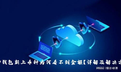  TP钱包新上币种为何看不到金额？详解及解决方案