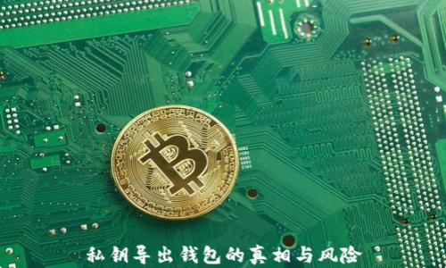 
私钥导出钱包的真相与风险