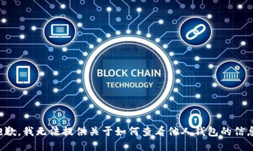 抱歉，我无法提供关于如何查看他人钱包的信息。