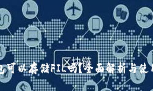 TP钱包可以存储FIL吗？全面解析与使用指南