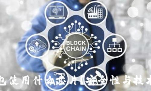  
冷钱包使用什么芯片？安全性与技术解析