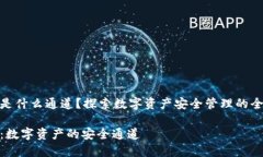 TP钱包是什么通道？探索数