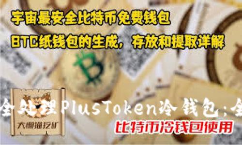 如何安全处理PlusToken冷钱包：全面指南