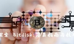 探索 Bitdisk：简易指南与技