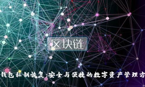 冷钱包私钥恢复：安全与便捷的数字资产管理方案