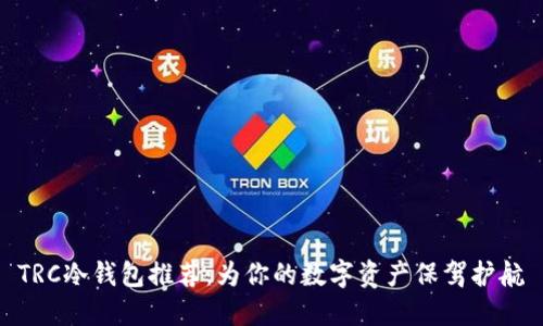 TRC冷钱包推荐：为你的数字资产保驾护航