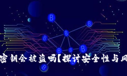 冷钱包密钥会被盗吗？探讨安全性与风险管理