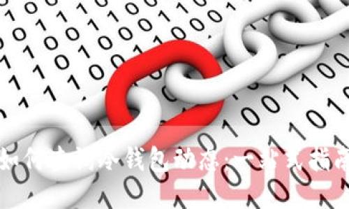 如何查询冷钱包动态：一站式指南