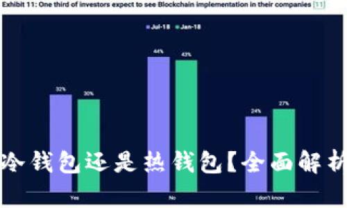 官方钱包究竟是冷钱包还是热钱包？全面解析加密钱包的选择