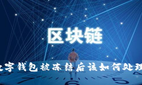 数字钱包被冻结后该如何处理？
