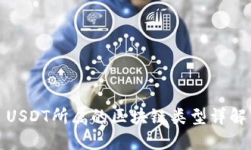 USDT所属的区块链类型详解