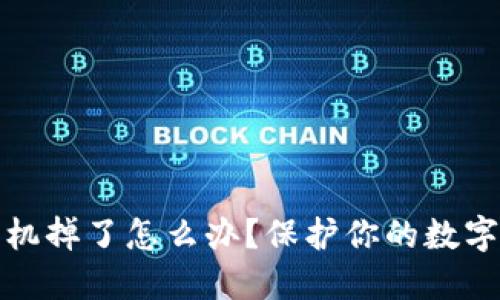 冷钱包手机掉了怎么办？保护你的数字资产攻略