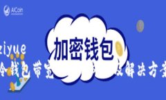 ziyue冷钱包带宽不足的风险