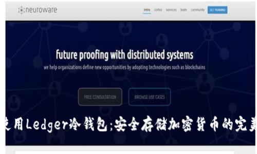 如何使用Ledger冷钱包：安全存储加密货币的完美指南