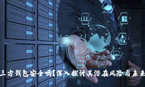 : 第三方钱包安全吗？深入探讨其潜在风险与未来走向