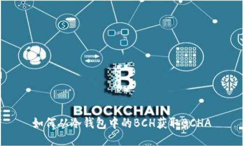 如何从冷钱包中的BCH获取BCHA