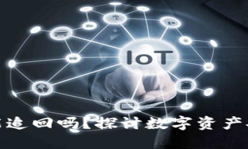 冷钱包被盗后能追回吗？探讨数字资产安全与救助策略