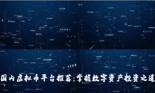 国内虚拟币平台推荐：掌握数字资产投资之道