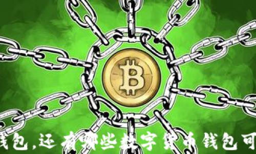 
除了TP钱包，还有哪些数字货币钱包可供选择？