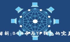 深度解析：BGH币与TP钱包的