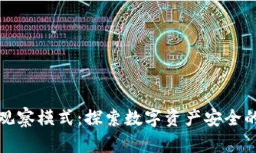 TP钱包观察模式：探索数字资产安全的新视界