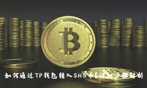 如何通过TP钱包转入SHB币？详细步骤解析